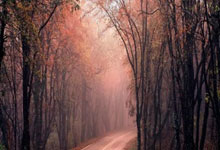 篮网为刚刚被76人裁掉的侧翼新星送出合同，但他想留队并不容易？