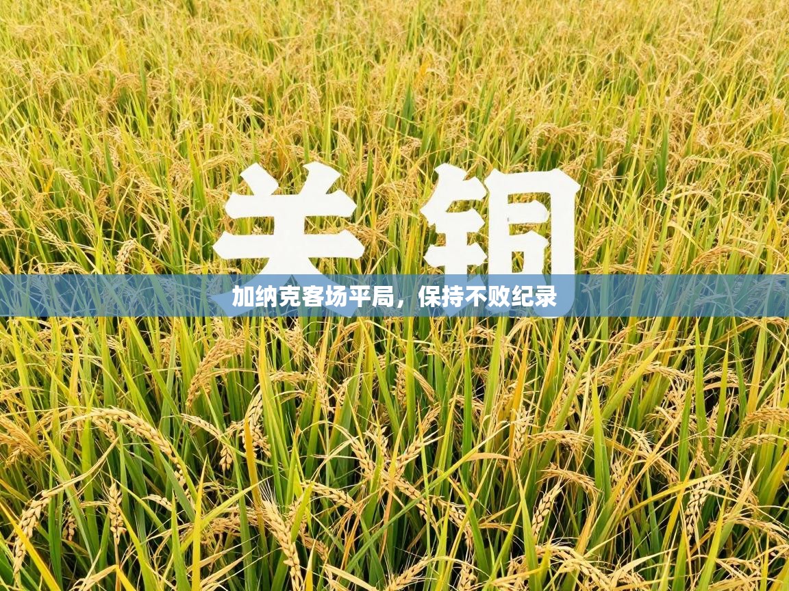 加纳克客场平局,保持不败纪录 第1张